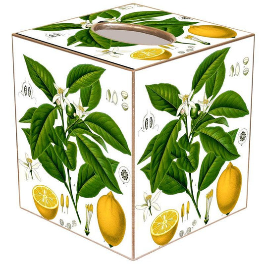 Marye-Kelley - TB7879 Vintage Lemons Tissue Box Cover: Paper Mache