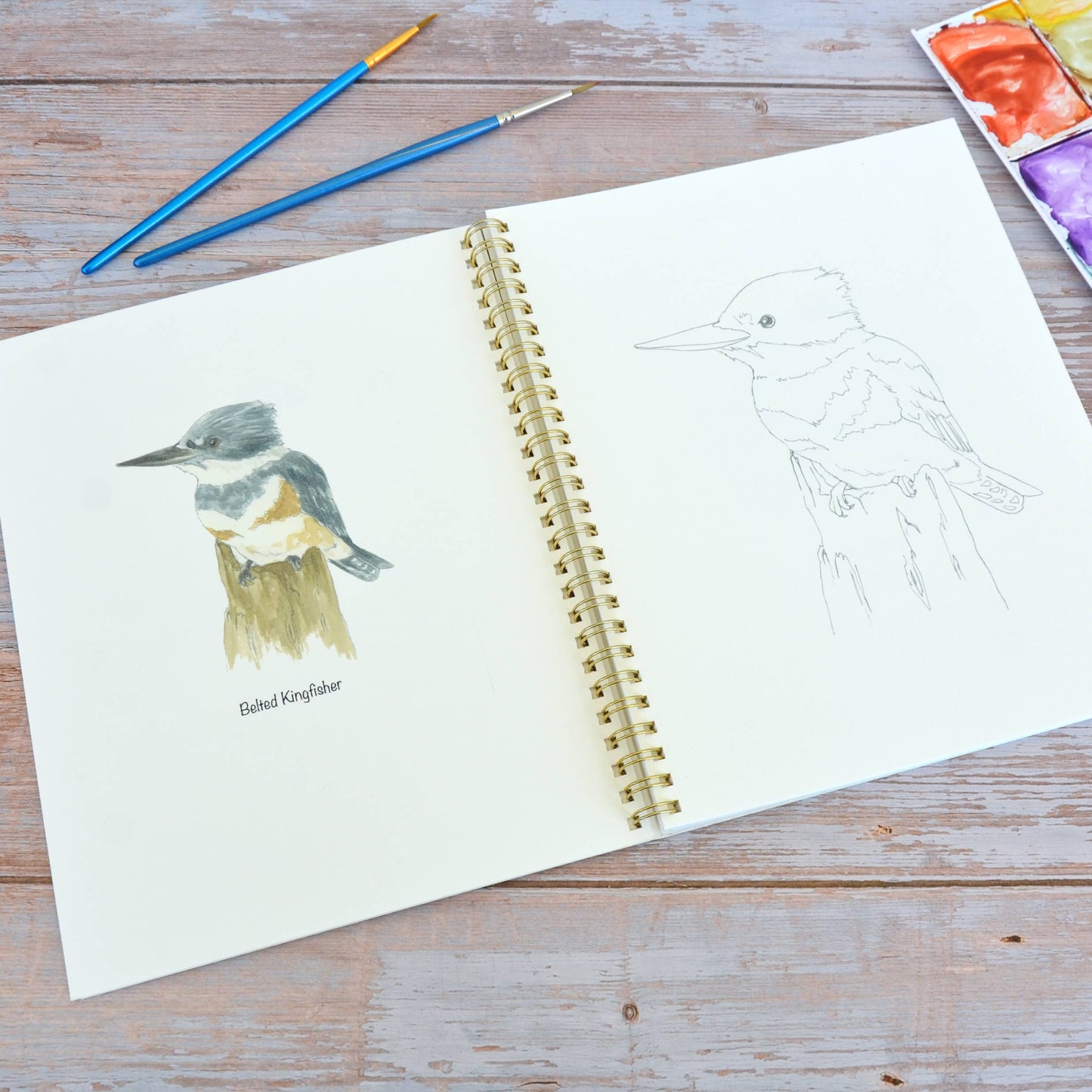 LKA Fine Art - Watercolor workbook, Water Birds Themed Watercoloring book