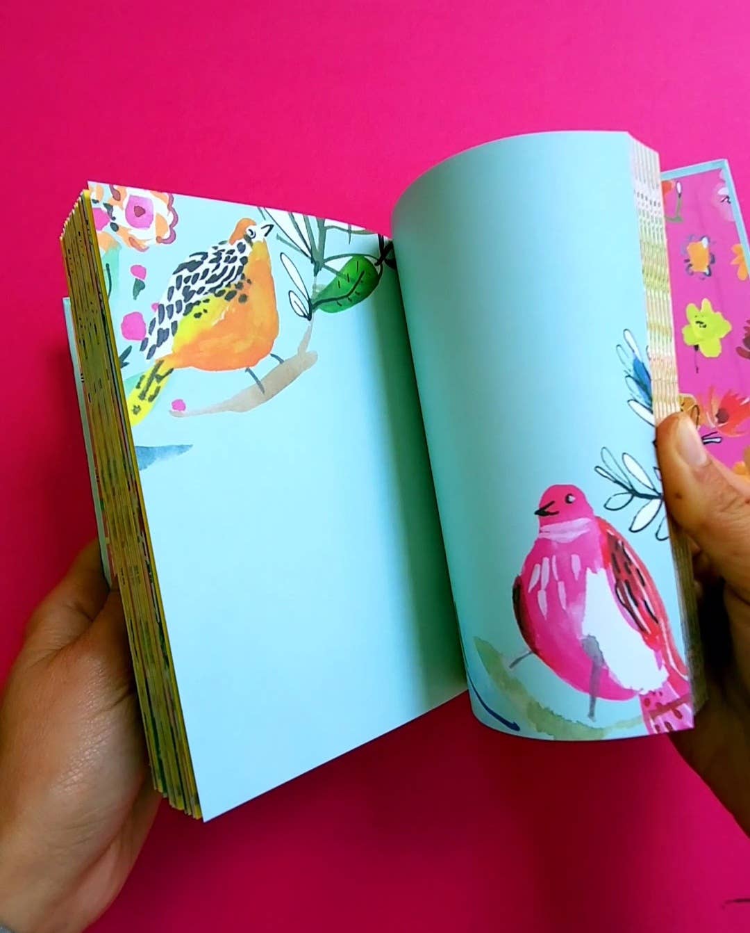 Roger La Borde - Bird Life Illustrated journal  - AS 053