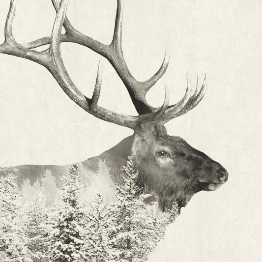 Paperproducts Design - BEV-MAJESTIC ELK