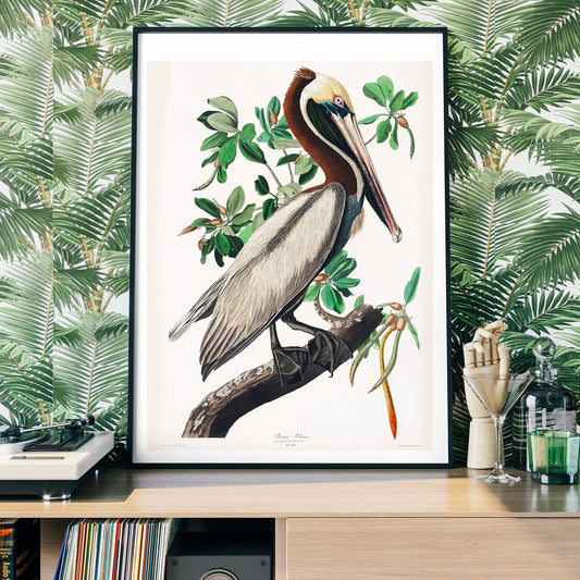 Ink & Drop - Brown Peilcan vintage print: 11 ¾ x 15 ¾ in | 30x40 cm / Matte