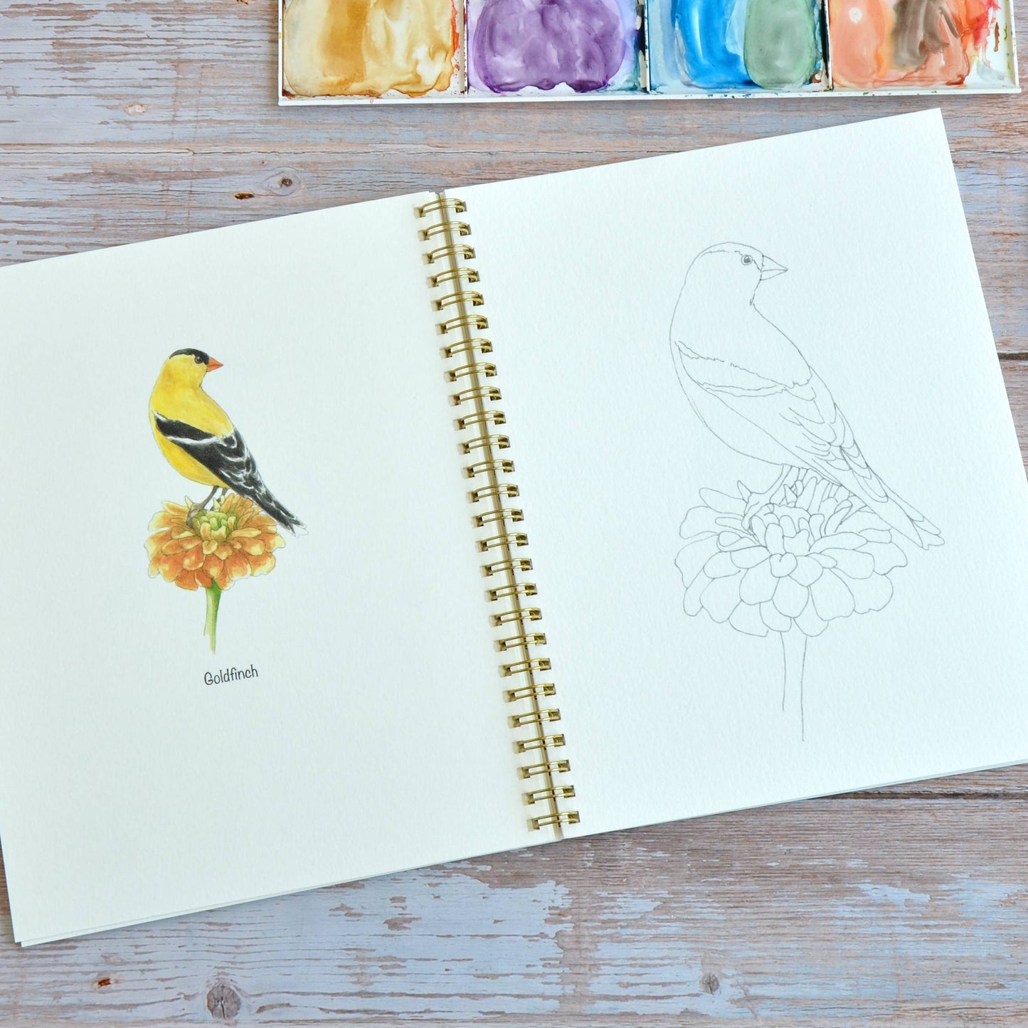 LKA Fine Art - Watercolor workbook, Backyard Birds Watercoloring book
