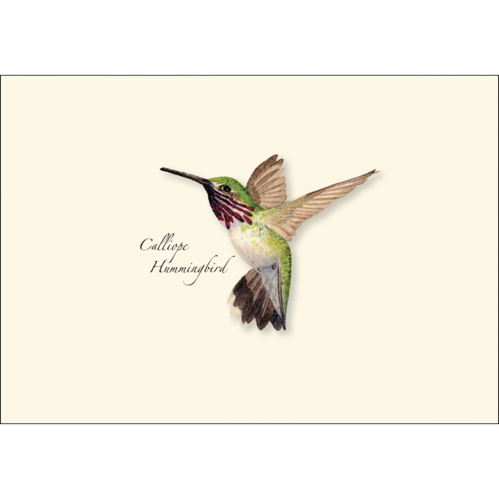 Earth Sky + Water - Western Hummingbird Assortment