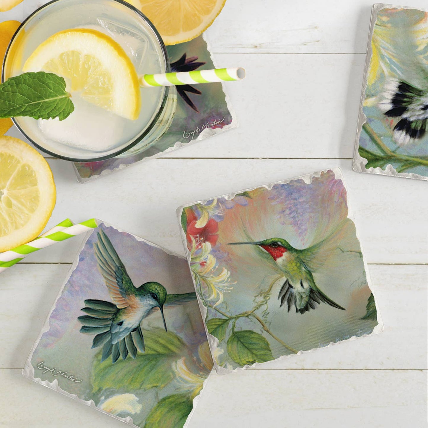CounterArt/Highland Home/Thirstystone - Nature's Gift Of Feathers - 4Pk Asstd Image Coaster Set