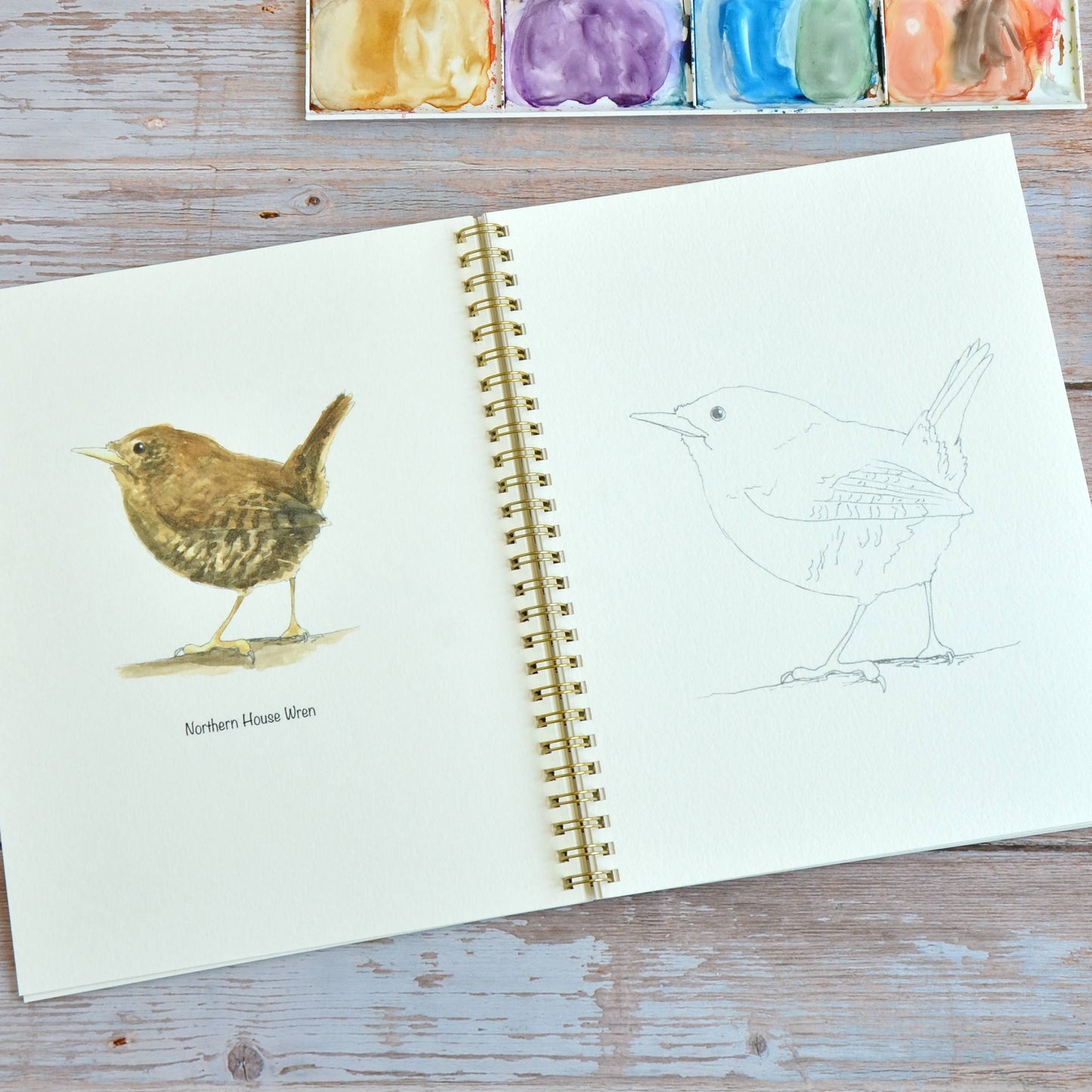 LKA Fine Art - Watercolor workbook, Backyard Birds Watercoloring book