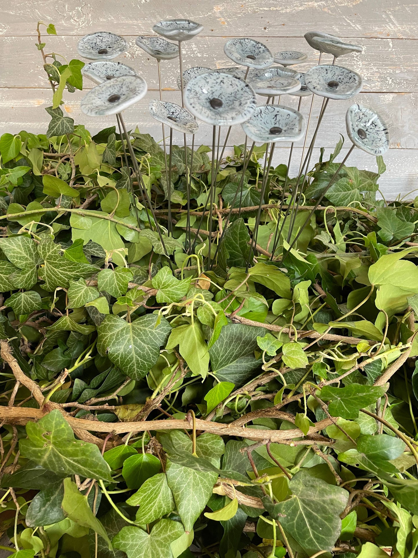 CARNEOL GLASS - Small Glass Flower For Inside In White-Black