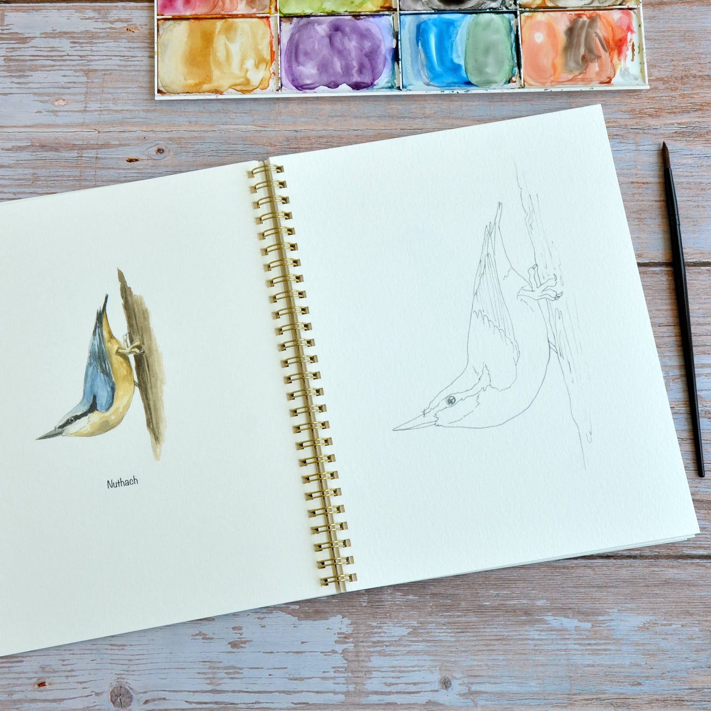 LKA Fine Art - Watercolor workbook, Backyard Birds Watercoloring book