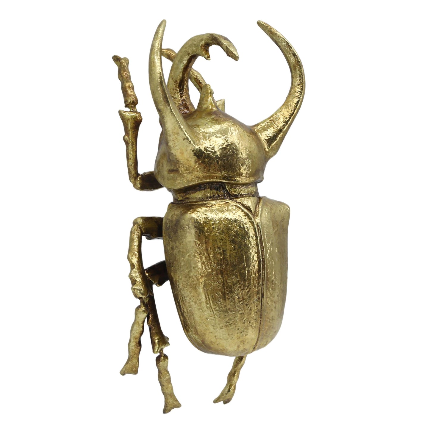 Modern World by Contrast Inc. - Gold Rhino Beetle Wall Décor (Small Version)