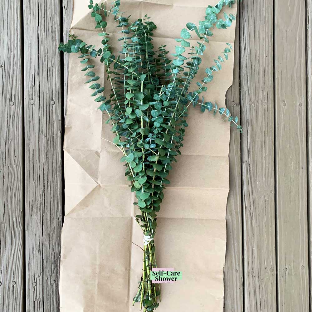 Self-Care Shower - Fresh Eucalyptus Bundle | For Shower/Vase | SAN DIEGO GROWN: Large (🎉 Bestseller)