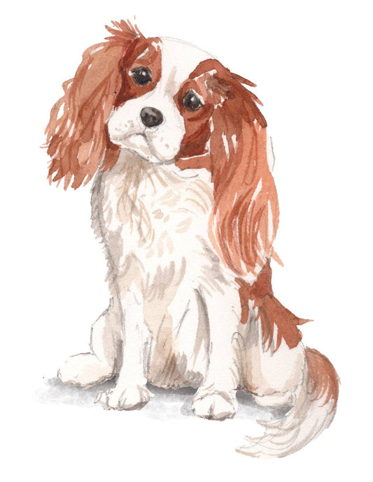 Bourbon & Bacon - Cavalier King Charles Spaniel Note Cards
