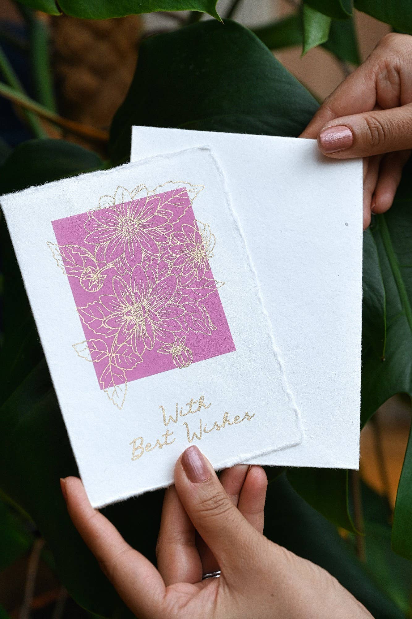 Paper Mirchi - Deckle Edge Cotton Card - GC Dahlia Mauve