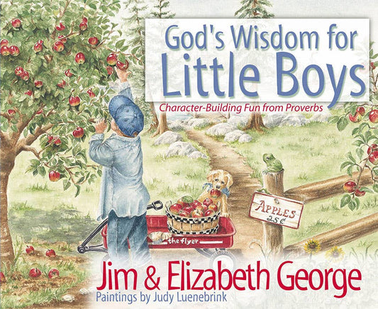Harvest House Publishers Gift & Specialty Books - God's Wisdom for Little Boys: Hardcover / English