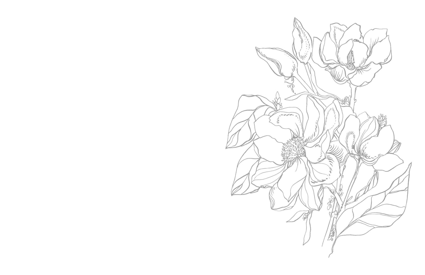 Schiffer Publishing - Kristy's Spring Cutting Garden: A Watercoloring Book