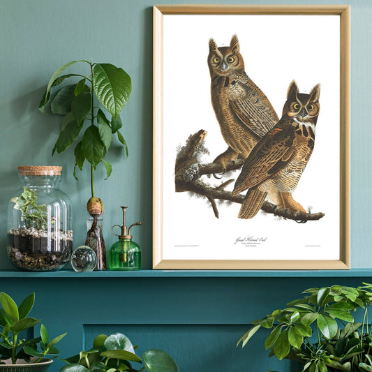 Ink & Drop - Great Horned Owl Vintage Antique Bird Print: 11 ¾ x 15 ¾ in | 30x40 cm / Matte