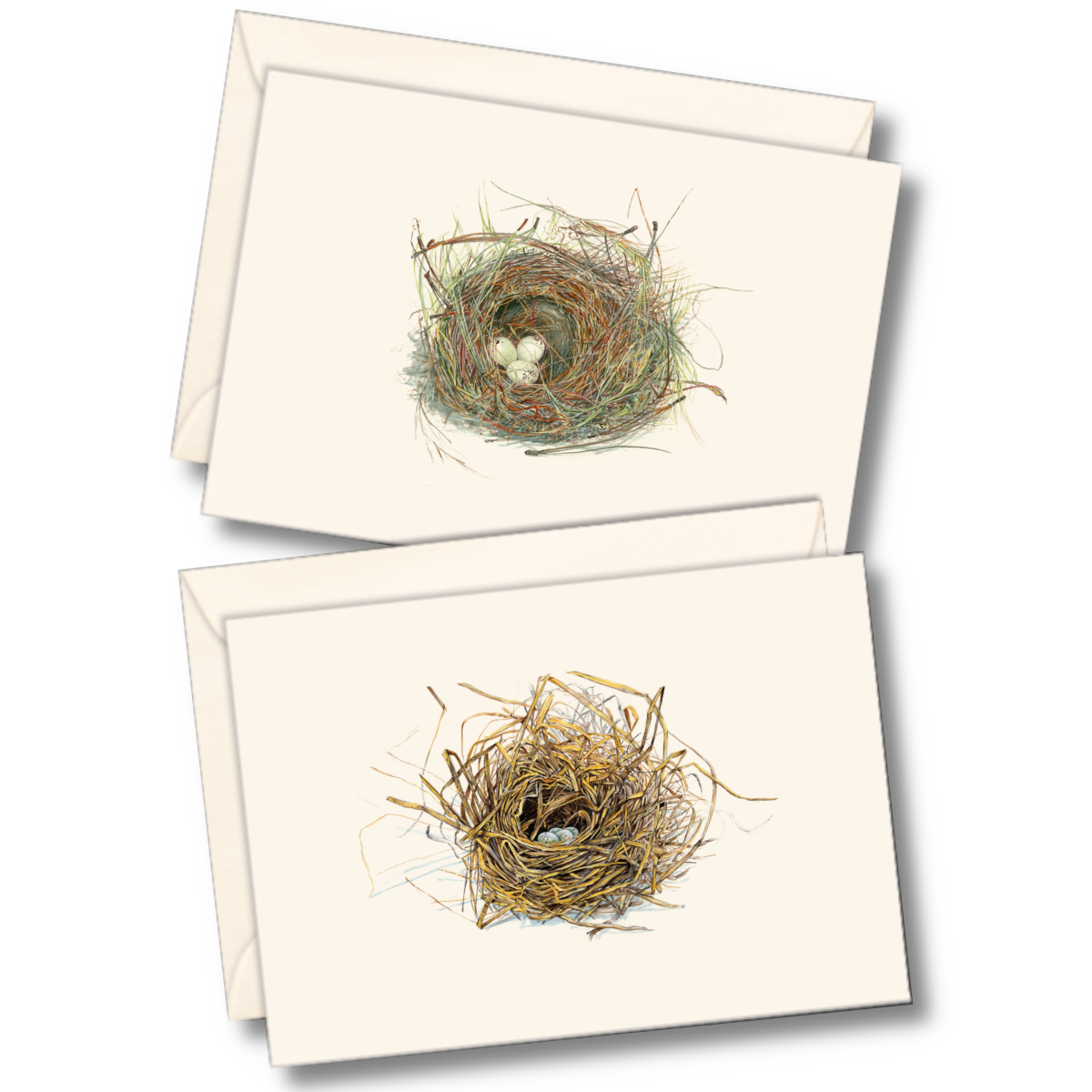 Earth Sky + Water - Eggs in Nest