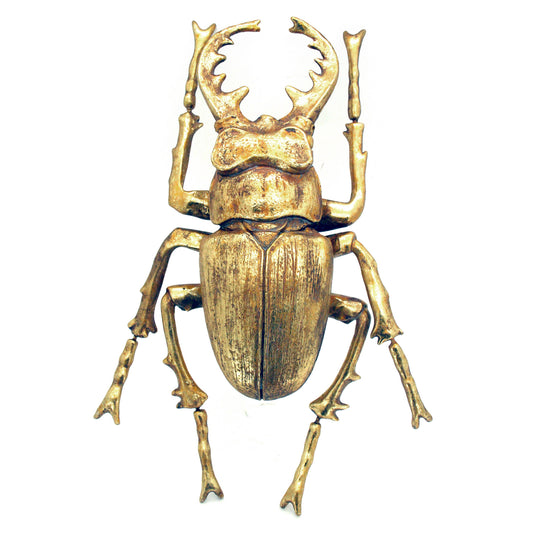 Modern World by Contrast Inc. - Gold Leafed Beetle Wall Décor