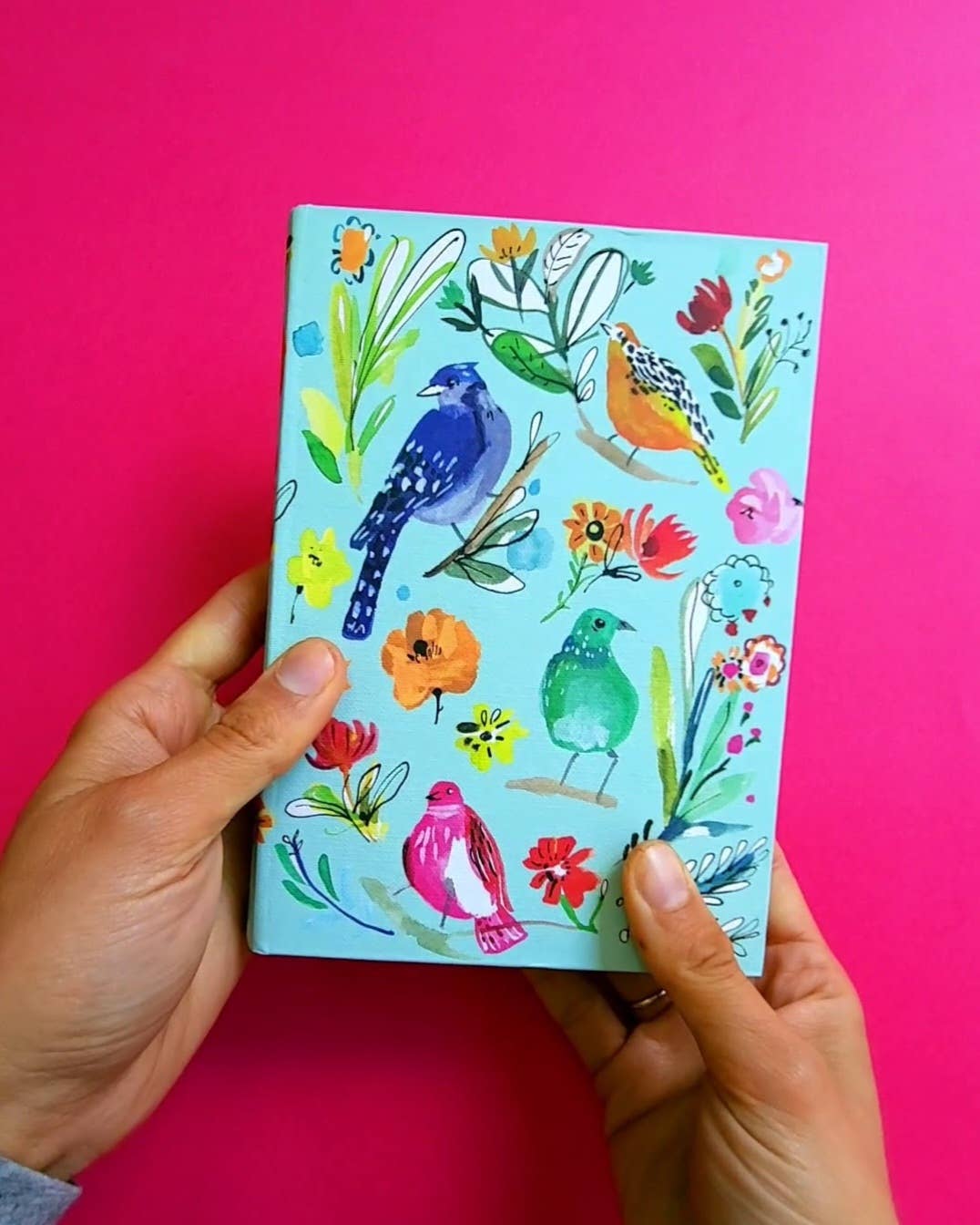 Roger La Borde - Bird Life Illustrated journal  - AS 053