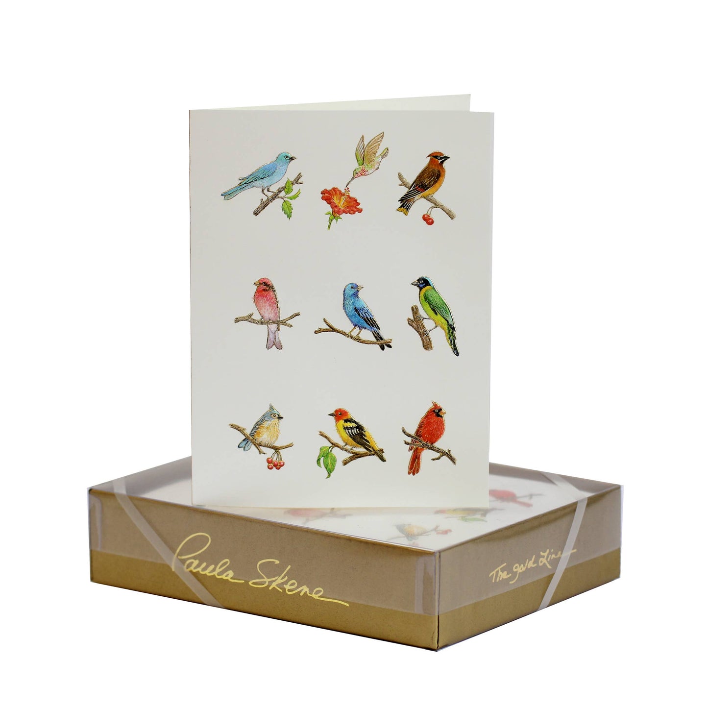 PAULA SKENE DESIGNS - Bird Medley Blank Card: Single Sleeved Card