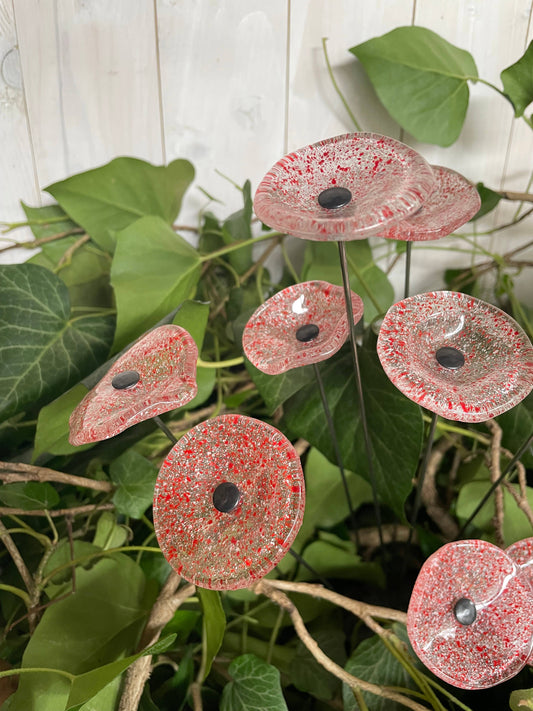 CARNEOL GLASS - Small Glass Flower For Outside In Transp.-Red-White