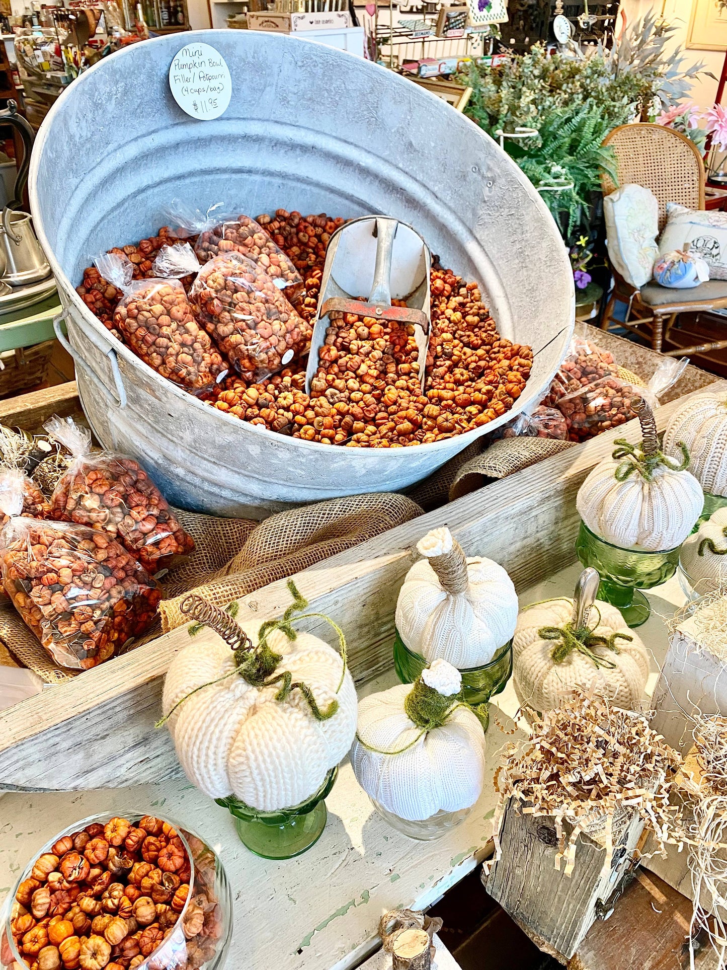 Allure Home Fragrance - Mini Pumpkin Potpourri/Putka Pods: Medium