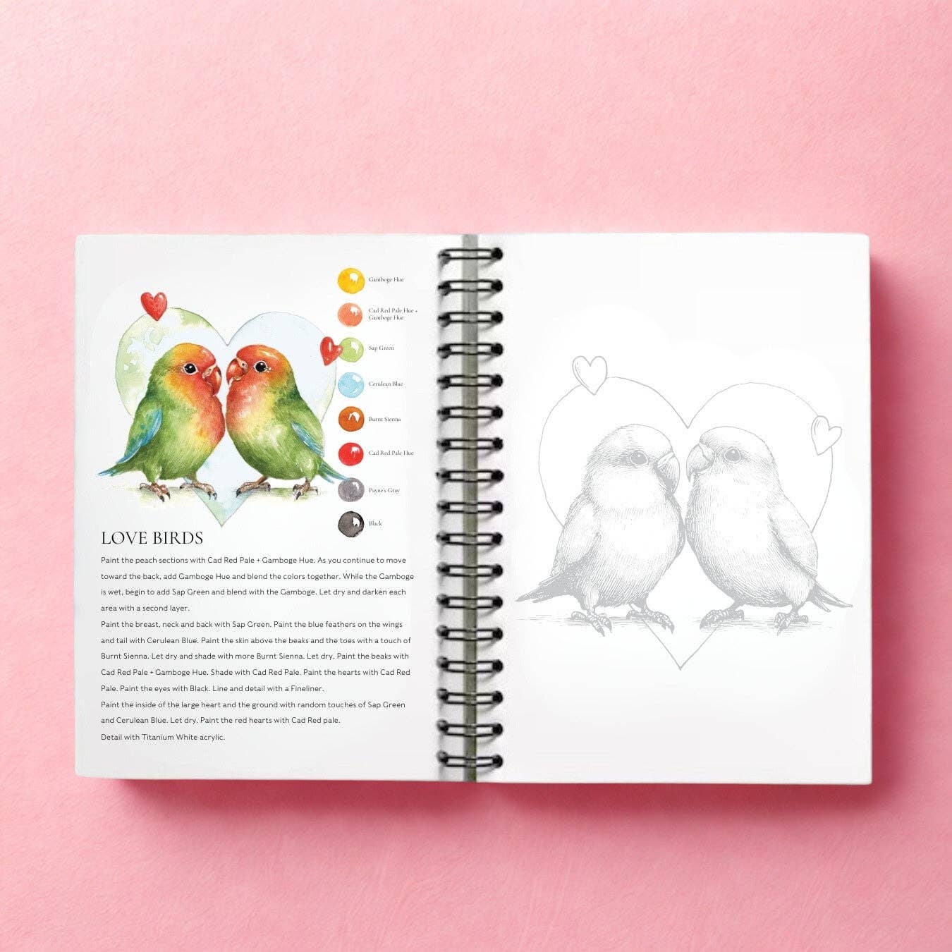 Willow Wolfe USA - So Much Love Watercolor Workbook By Willow Wolfe
