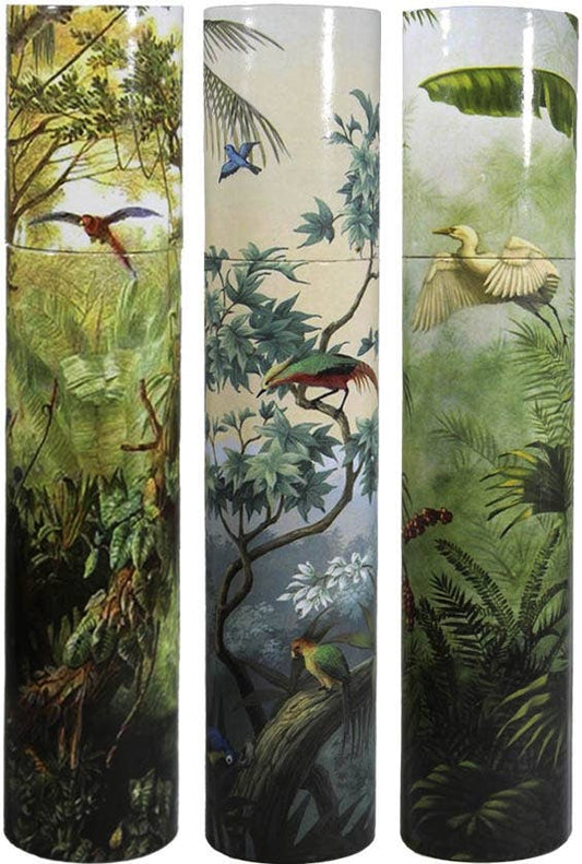 World Buyers - Vintage Tropical Scene LRG Tube Matchbox Lrg 1Dz - ANN458
