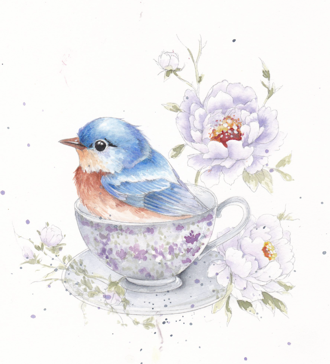 Willow Wolfe USA - Feathers & Finery Watercolor Workbook