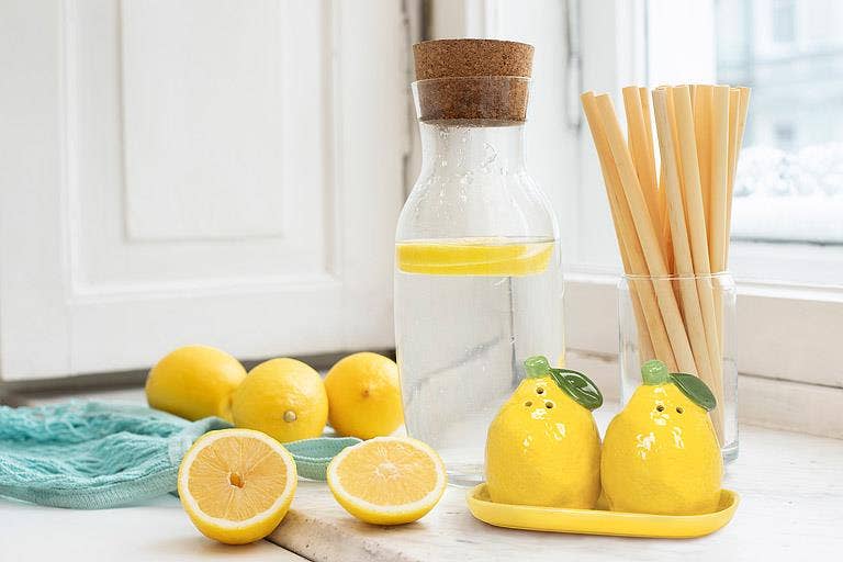 Abbott - Lemon S&P on Tray-5.5"L-1752