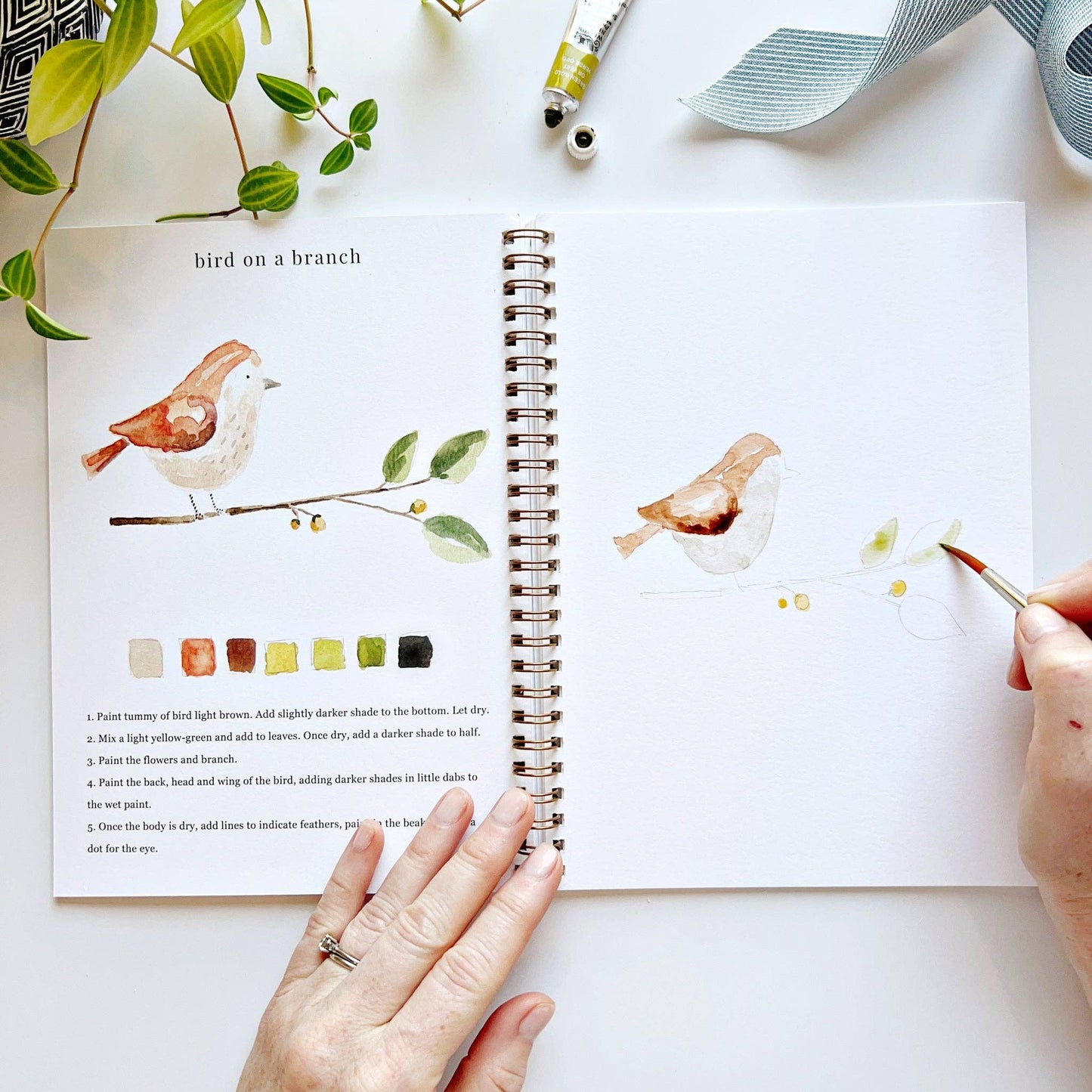 emily lex studio - Animals watercolor workbook presale