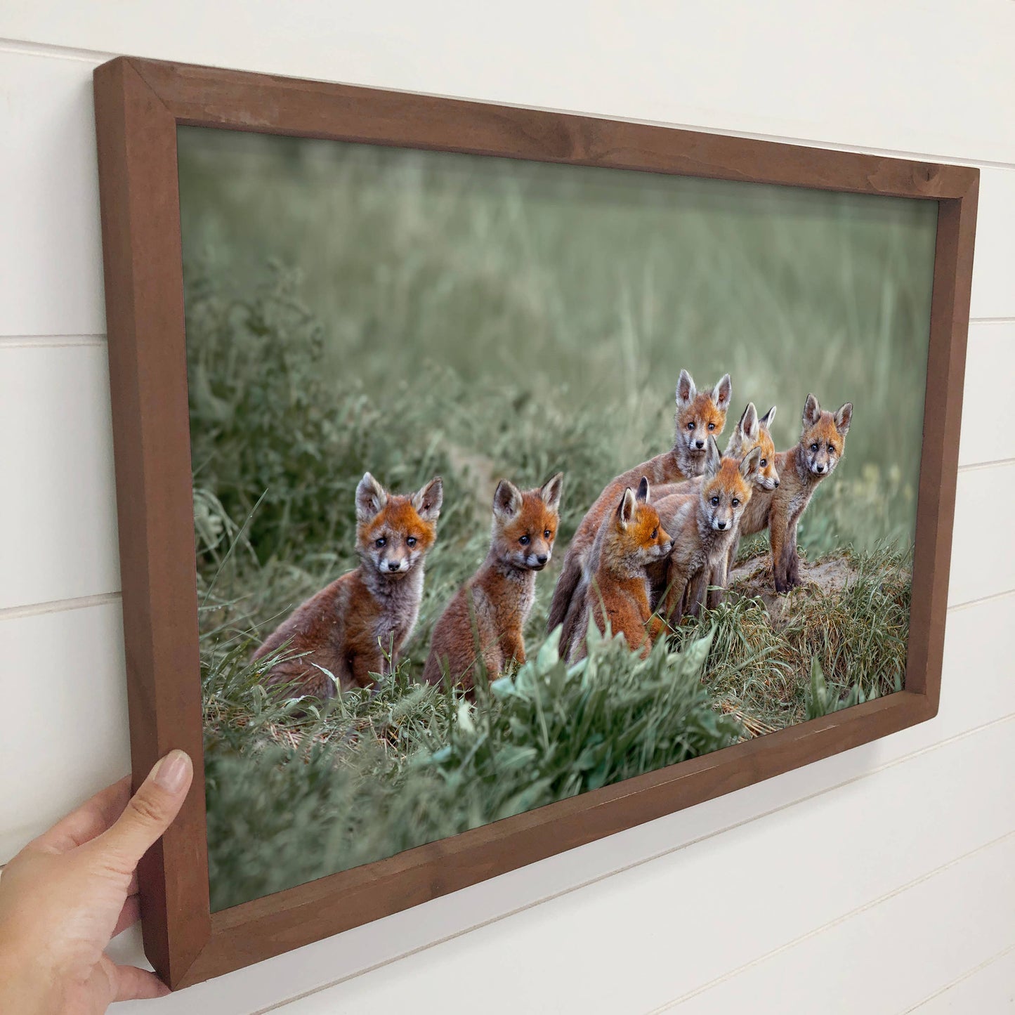 Hangout Home - Baby Fox Pups - Wildlife Photography Canvas Art - Wood Frame: 24x36" Extra Large Canvas Art with Thick Wood Frame