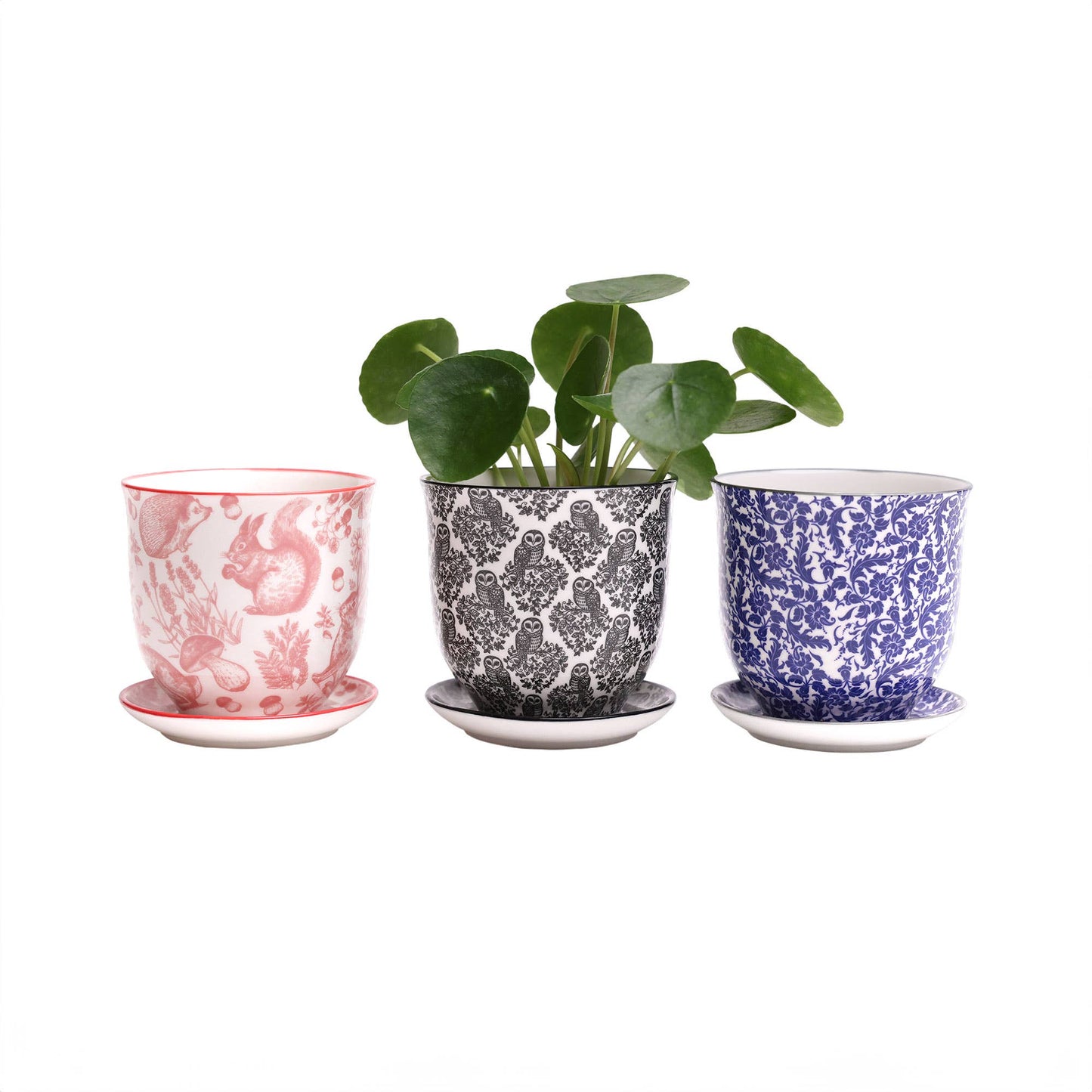 Chive - Liberte Indoor Porcelain Plant Pots: Red Flowers / 3.25"