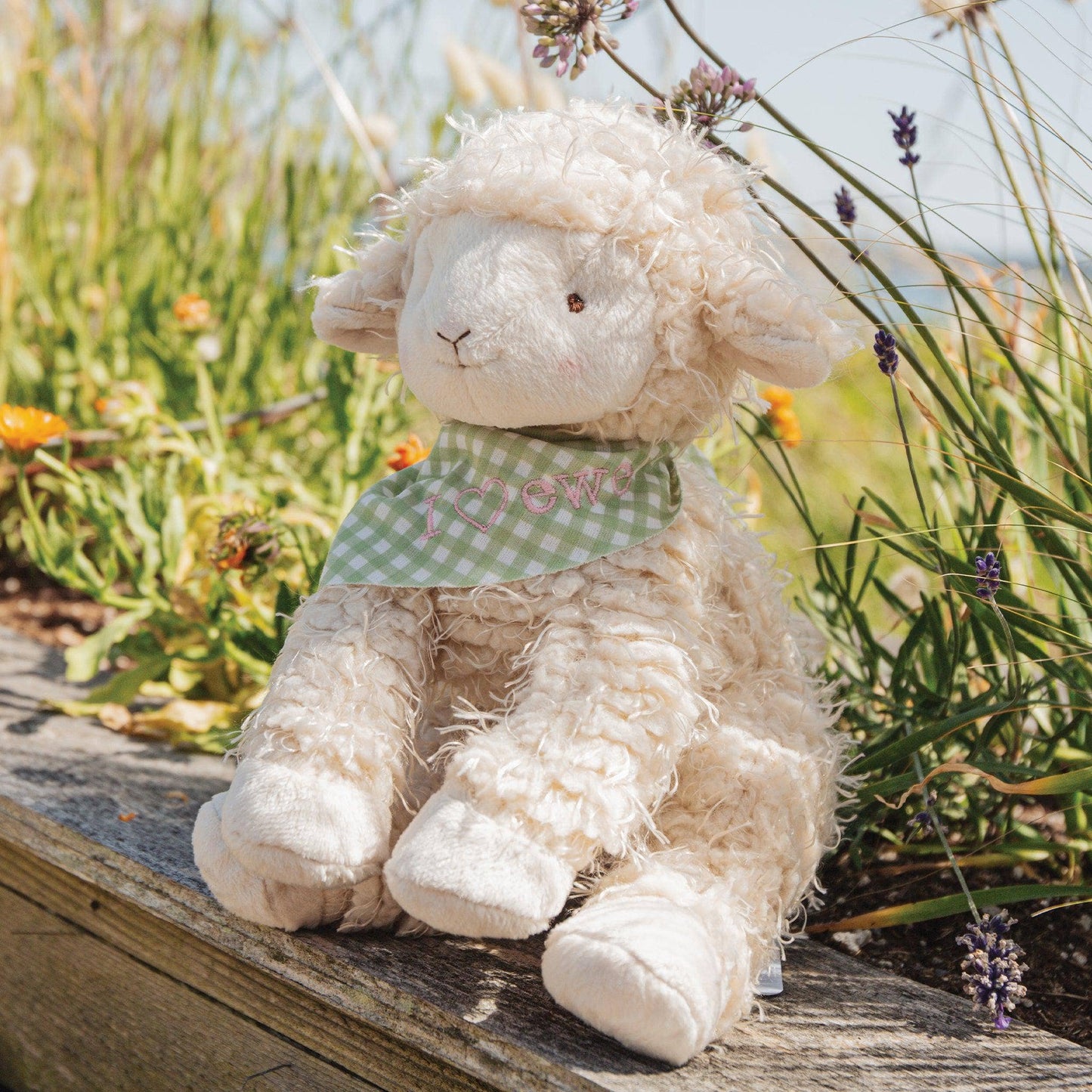 Bunnies By the Bay - Shep the Sheep