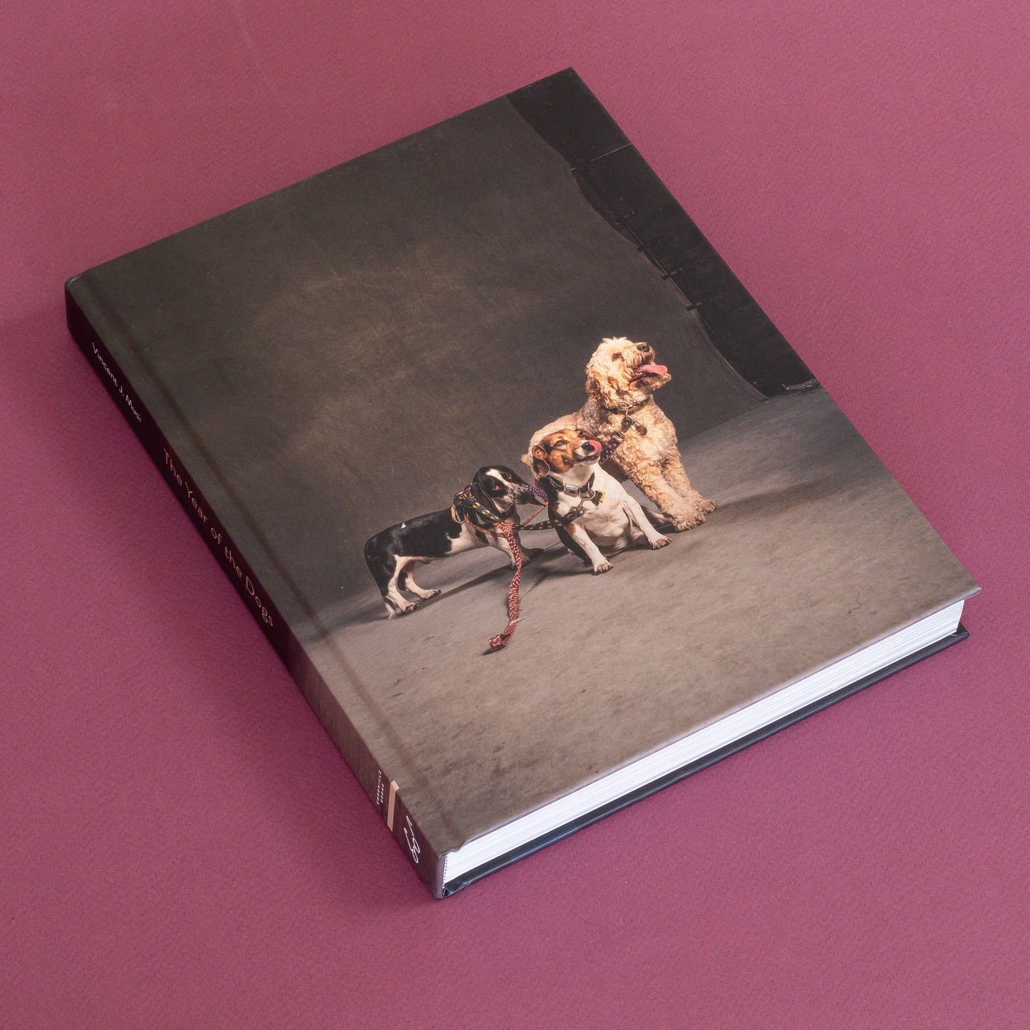 Chronicle Books - Year of the Dogs