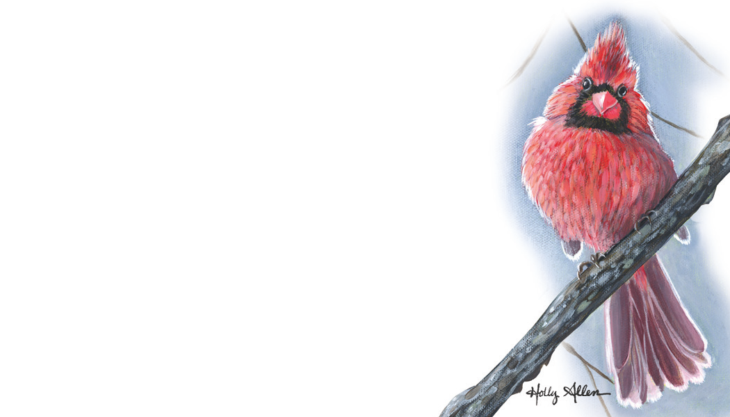 Forever Caroline LLC - Cardinal Bird Tiny Cards | Pack of 60 "Love Notes"