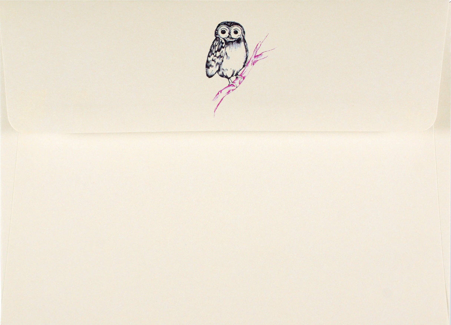 Peter Pauper Press - Owl Portrait Note Cards