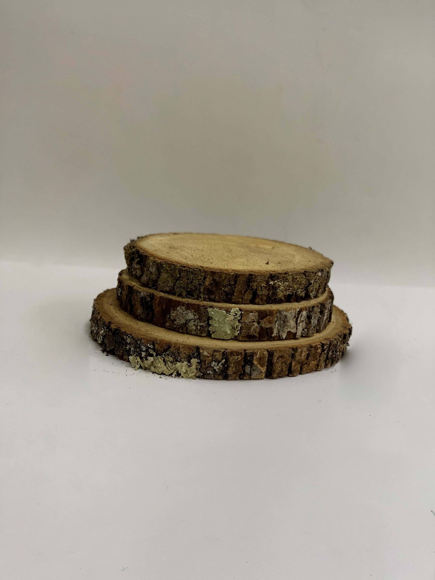 Winter Woods - 8" Basswood Disk