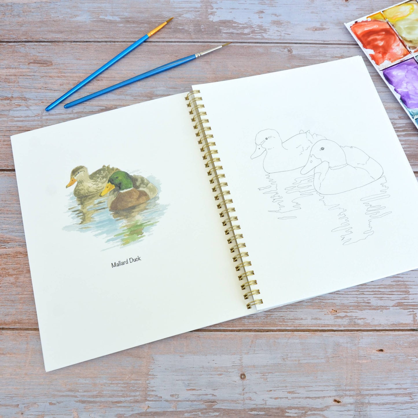 LKA Fine Art - Watercolor workbook, Water Birds Themed Watercoloring book