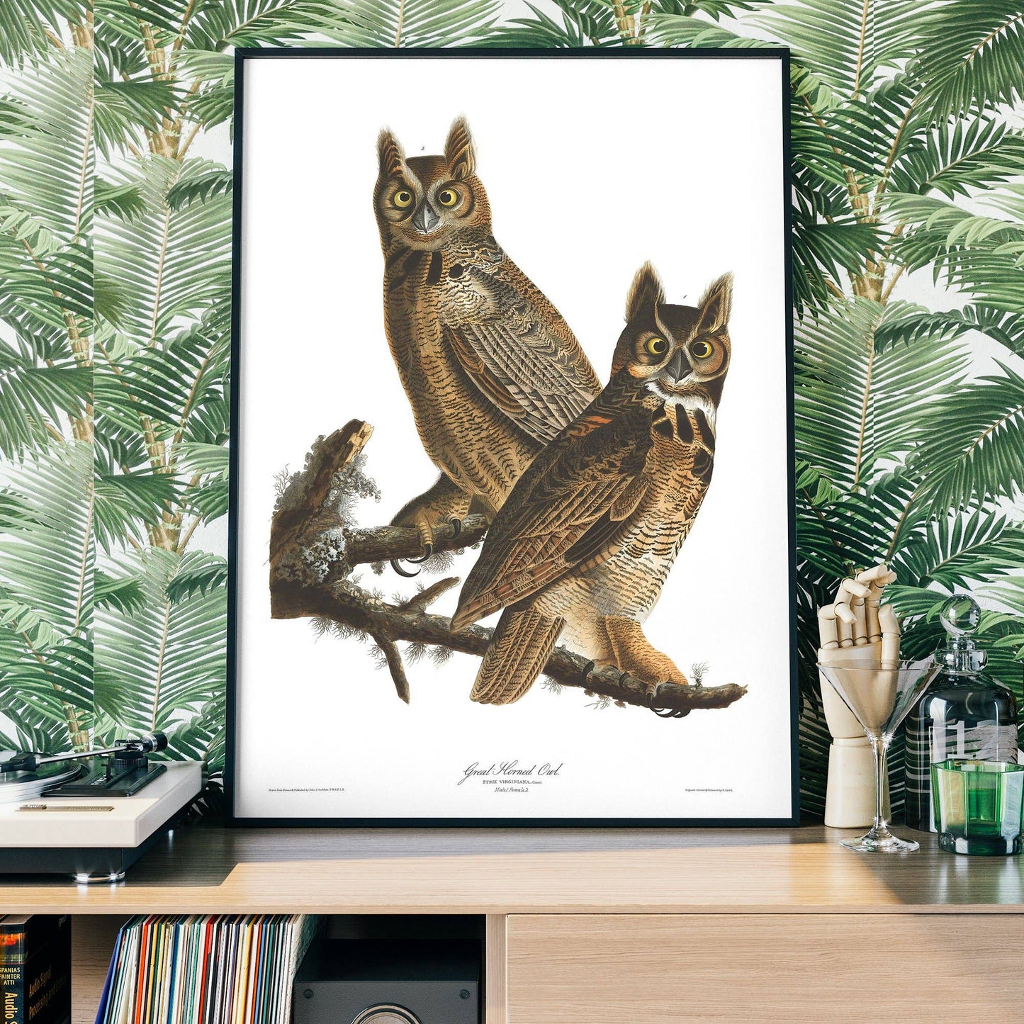 Ink & Drop - Great Horned Owl Vintage Antique Bird Print: 11 ¾ x 15 ¾ in | 30x40 cm / Matte