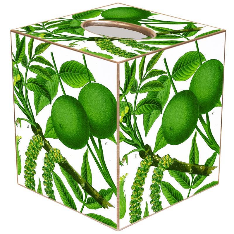 Marye-Kelley - Limes on White Tissue Box Cover: Paper Mache
