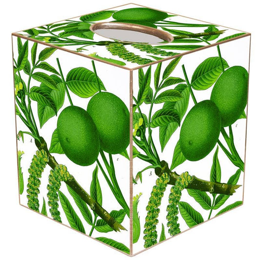 Marye-Kelley - Limes on White Tissue Box Cover: Paper Mache