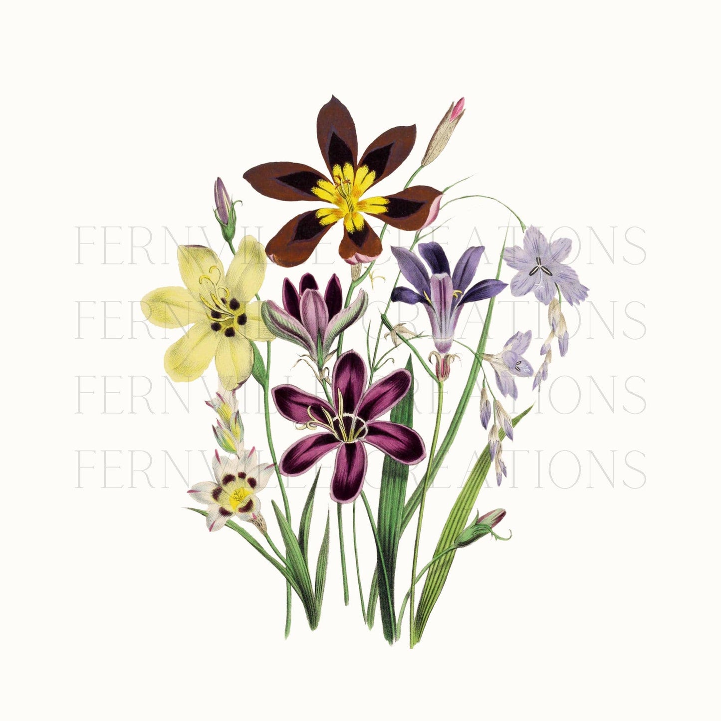 Fernville Creations - Wildflower Floral Hand Towels for Bath and Kitchen