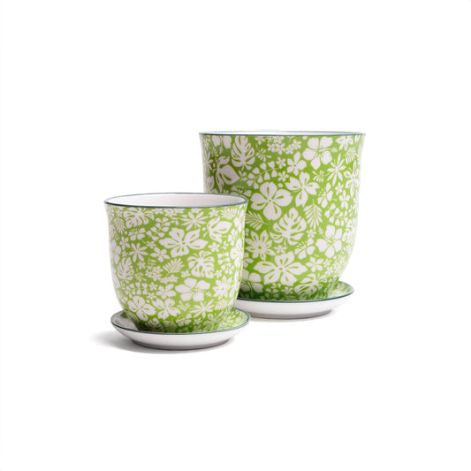 Chive - Liberte Indoor Porcelain Plant Pots: Green Garden / 4.25"