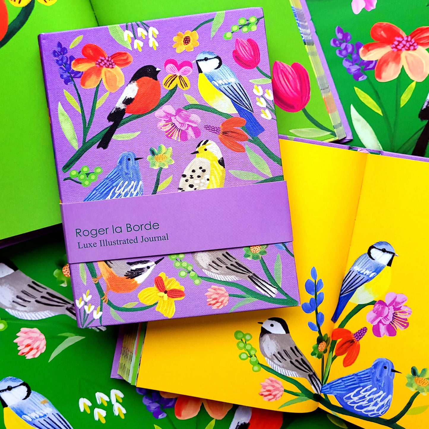 Roger La Borde - Birdhaven Illustrated Journal  - AS 072