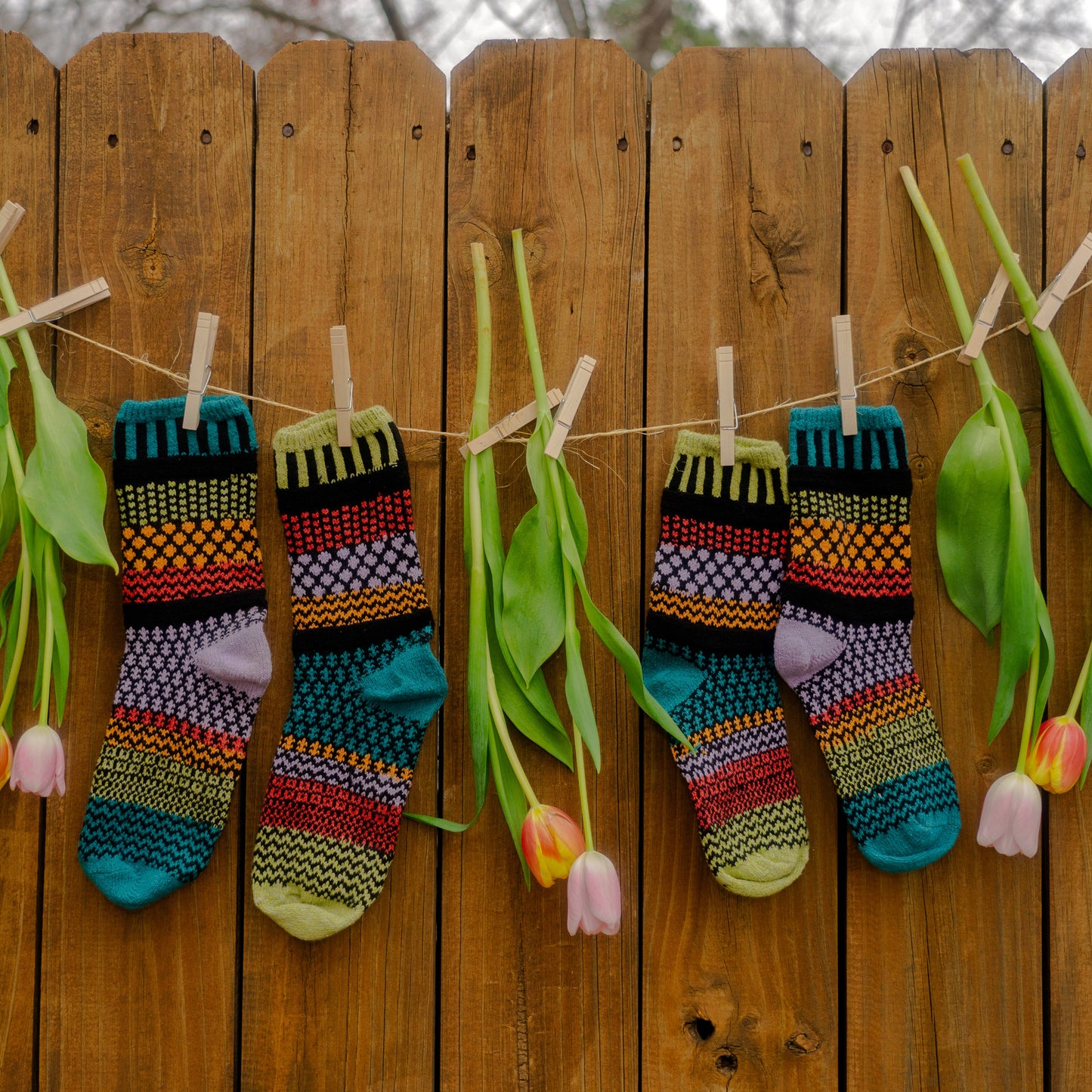 Solmate Socks - Artichoke Crew Socks | Eco-Friendly & Made In The USA: Small (Women 6 - 8 / Men 5 - 7)