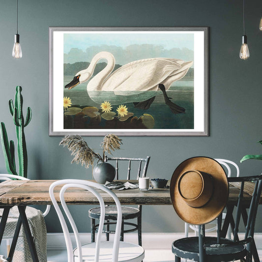 Ink & Drop - Common Swan print: 11 ¾ x 15 ¾ in | 30x40 cm / Matte