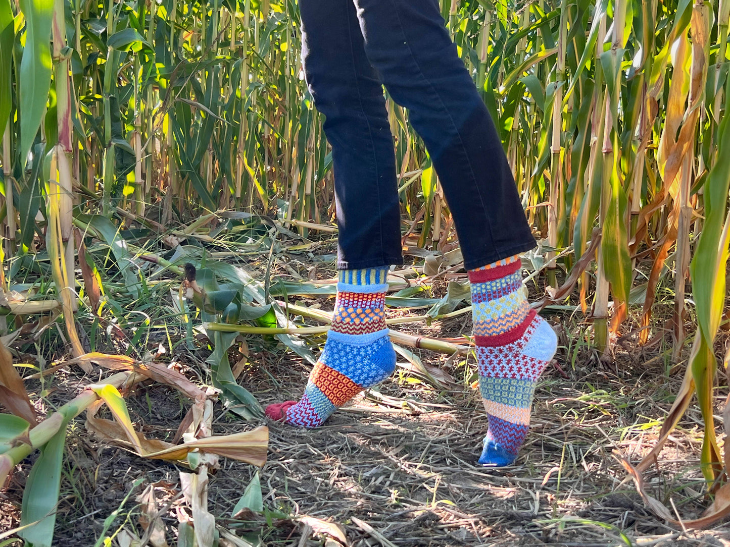 Solmate Socks - Fig Crew Socks | Eco-Friendly & Made in the USA: Large (Women 10 - 12 / Men 9 - 11)