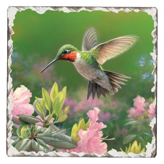 CounterArt/Highland Home/Thirstystone - Hummingbird #1 Single Absorbent Stone Tumbled Tile Coaster