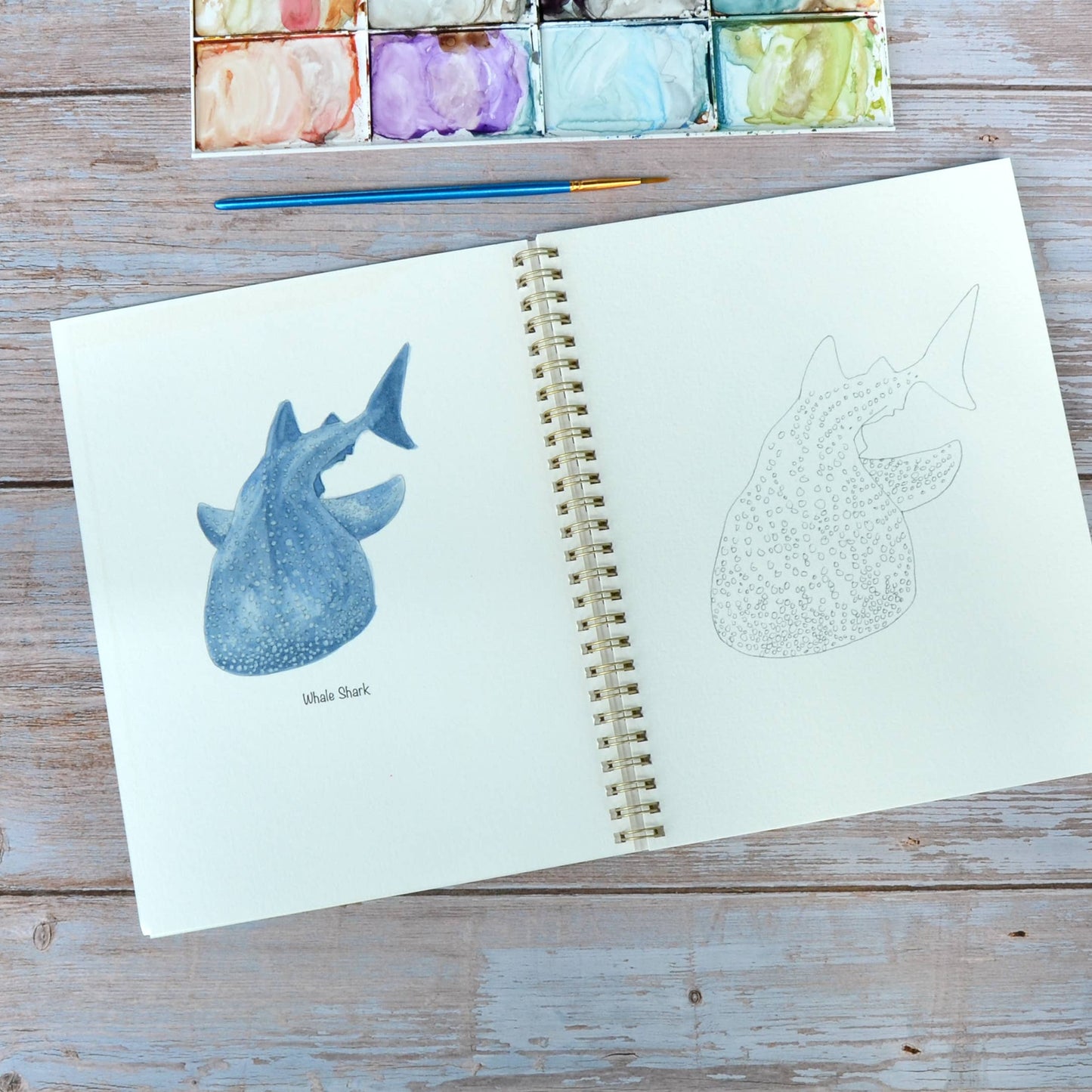 LKA Fine Art - Watercolor workbook, Shark themed Watercoloring book