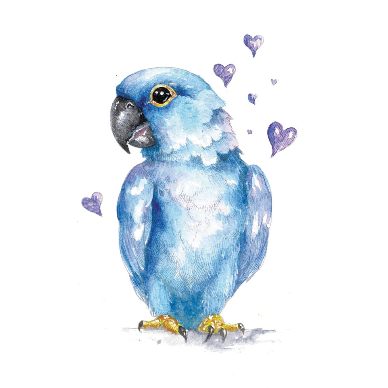 Willow Wolfe USA - So Much Love Watercolor Workbook By Willow Wolfe