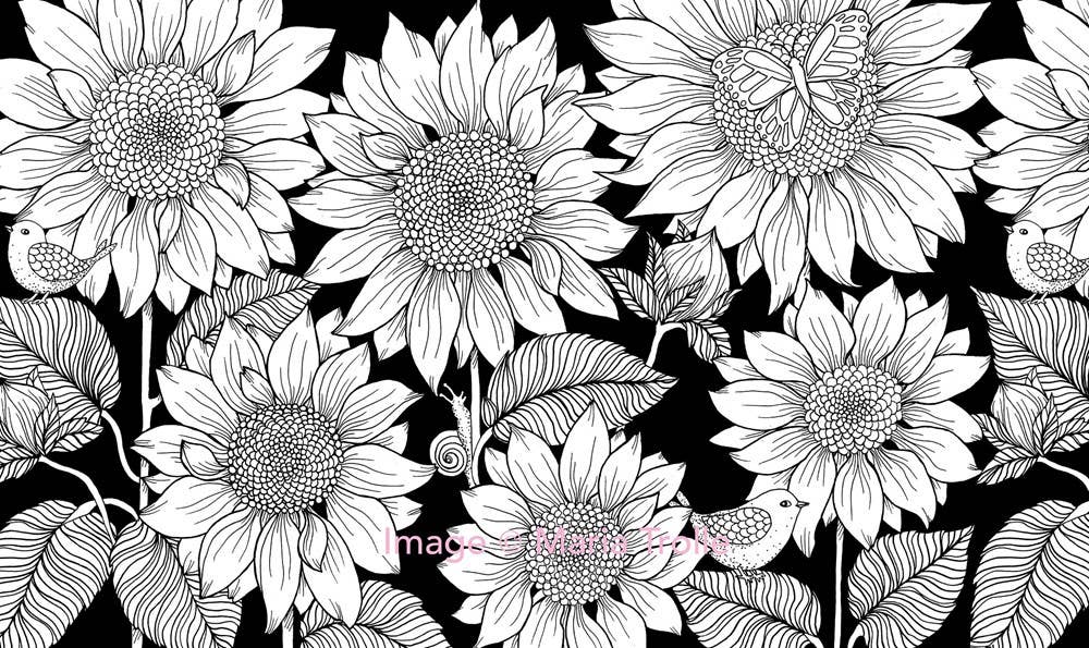 Gibbs Smith - Twilight Garden Coloring Book